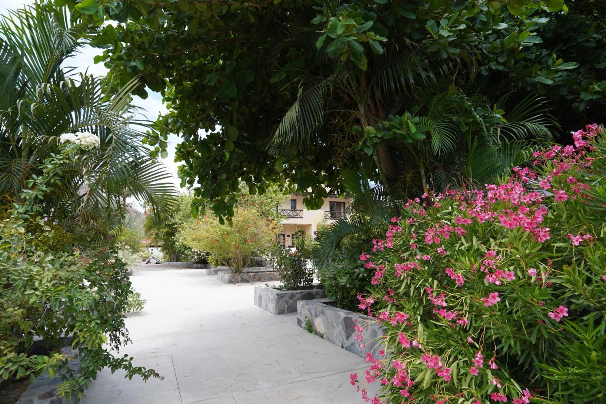 Tripui Hotel Puerto Escondido  Ngoại thất bức ảnh